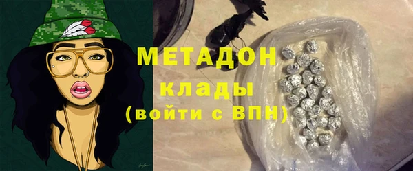 прущие грибы Армянск