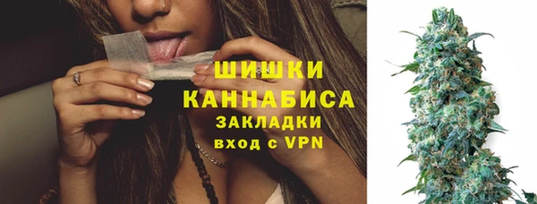 молекула духа Покровск