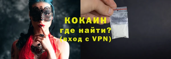 прущие грибы Армянск