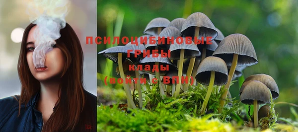 каннабис Покачи